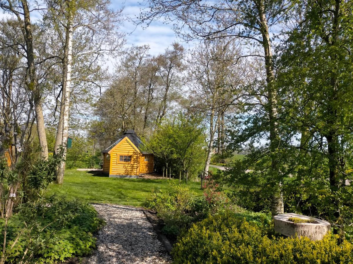 Sterrenzicht Bb Weidszicht Bed & Breakfast Doezum Exterior photo